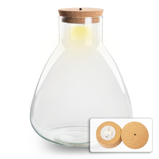 "Terrarium Flasche mit Beleuchtung - Sam - Ø 24,5 cm ↑ 30 cm image"