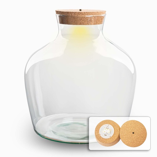 "Terrarium Flasche mit Beleuchtung - Fat Joe - Ø 29 cm ↑ 30 cm image"