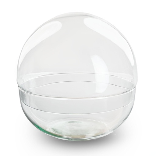 "Terrarium Flasche zweiteilig - Dome XL - Ø 28 cm ↑ 28 cm image"