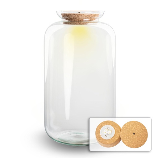 "Terrarium Flasche mit Beleuchtung - Sven XL - Ø 23 cm ↑ 43 cm image"