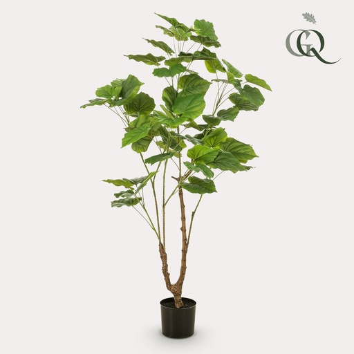 "Kunstpflanze - Ficus umbellate - Afrikanische Feige - 125cm image"