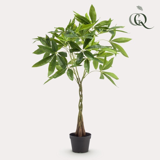 "Kunstpflanze - Pachira aquatica - Geldbaum - 90cm image"