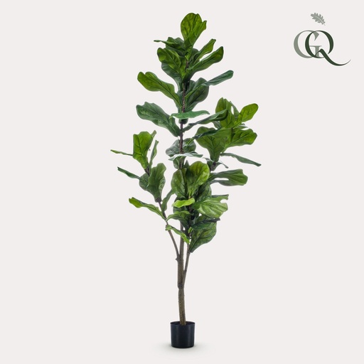 "Kunstpflanze - Ficus Lyrata - Tabakpflanze - 150cm image"