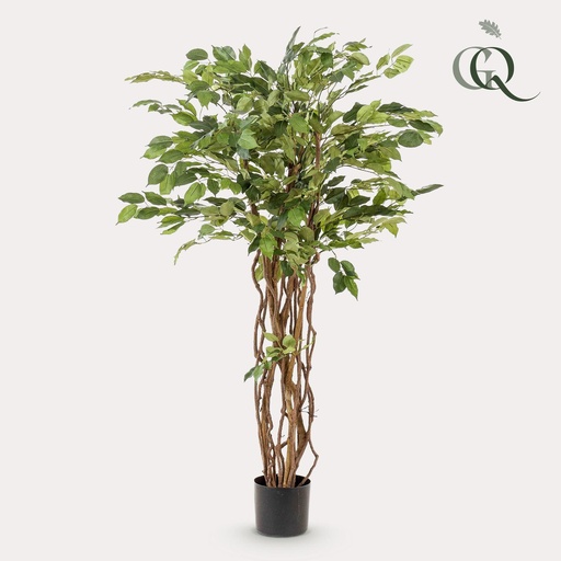 "Kunstpflanze - Ficus liana - Geigenblattpflanze - 140cm image"