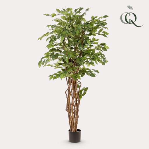 "Kunstpflanze - Ficus Liane - Geigenblattpflanze - 170cm image"