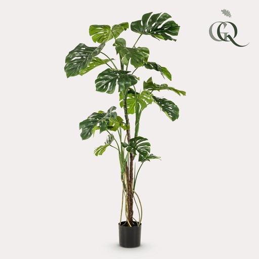 "Kunstpflanze - Monstera - Fensterblatt - 180cm image"