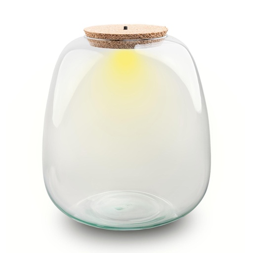 "Terrarium Flasche mit Beleuchtung - Emma - Ø 23 cm ↑ 25 cm image"