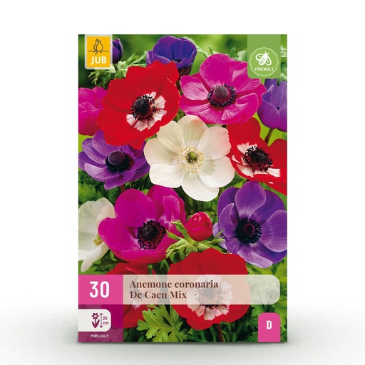 "30x Anemone de Caen Mix - Mohnblumen-Anemone de Caen Mischung - Verschiedenes - Frühlingsblüher - Zwiebelgröße 5/6 image"