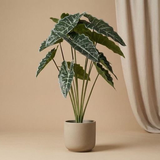 "Alocasia 80cm - Kunstpflanze - Artificial plant image"
