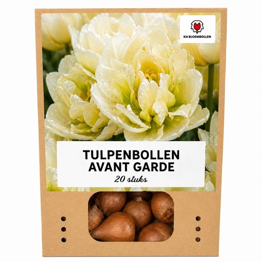 "Tulpenzwiebeln Avant Garde – 20 Stück | KH Bloembollen® | Gelbe Doppelblütige Tulpe – Einzigartig, Voll & Elegant – Für Garten oder Topf – Größe 11/12 – Frisch vom Züchter image"