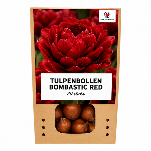 "Tulpenzwiebeln Bombastic Red – 20 Stück | KH Bloembollen® | Rote Pfingstrosentulpe – Doppelblütig & Luxuriös – Für Garten oder Topf – Größe 11/12 – Frisch vom Züchter! image"