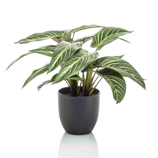 "Calathea Zebrina in schwarzem Topf - 42 cm hoch - Kunstpflanze - KÜNSTLICH image"