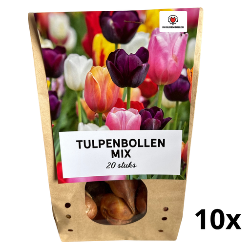 "10 Beutel Tulpenzwiebeln Mix - 20 Stück - Winterhart - Größe 11/12 image"