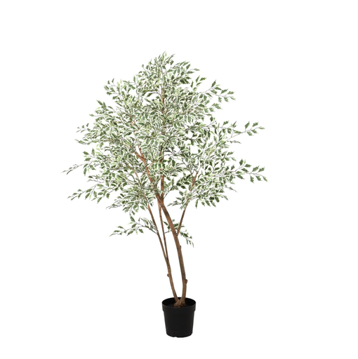 "KÜNSTLICHER Ficus benjamina variegata - 185 cm image"