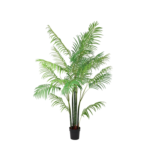 "KÜNSTLICHE Areca-Palme - 190 cm image"