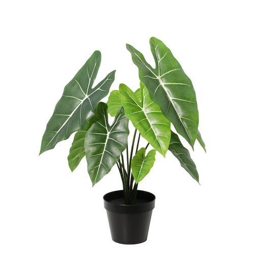"Künstliche Alocasia Polly - 40cm image"