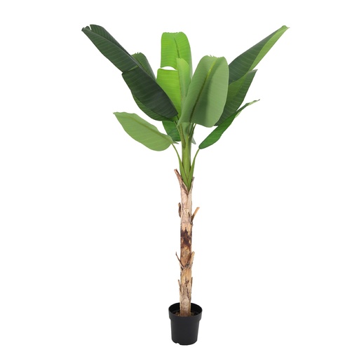 "Künstliche Bananenpflanze Musa - 190 cm image"