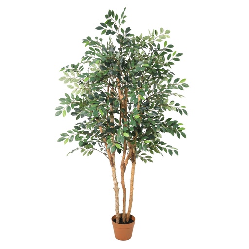 "Künstlicher Ficus Exotica - 150cm image"