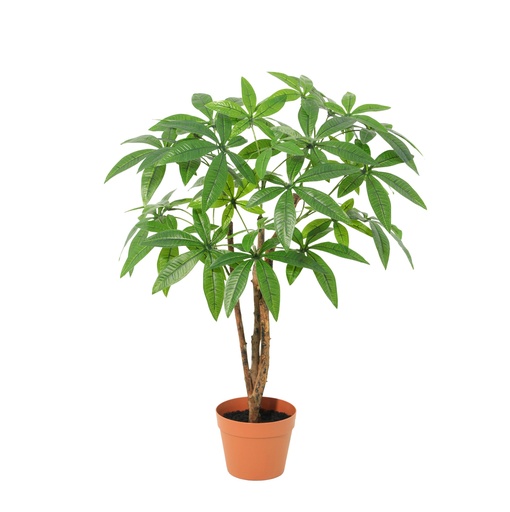 "Künstliche Pachira Aquatica - 86cm image"