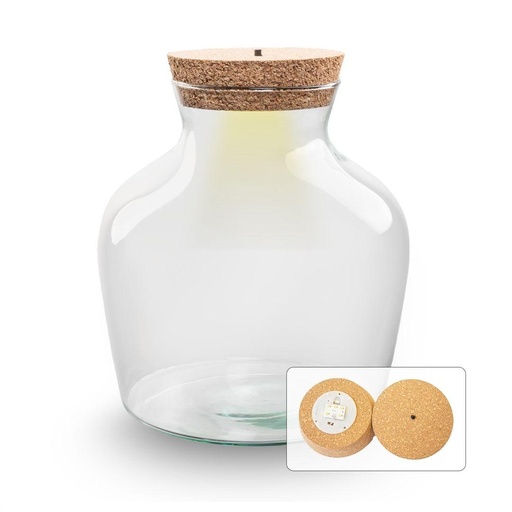 "Terrariumflasche mit Beleuchtung - Little Joe - Ø 20 cm ↑ 22 cm image"