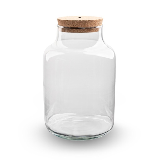 "Terrarium Flasche mit Beleuchtung - Milchig - Ø 21 cm ↑ 30 cm image"