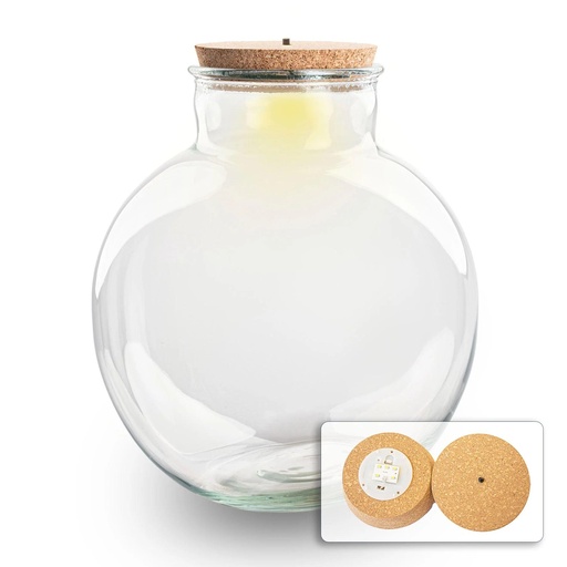 "Terrarium Flasche mit (LED) Korken - Bolder Bob - Ø 30 cm ↑ 31 cm - Mit LED-Korken image"
