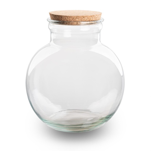 "Terrarium Flasche (mit) Beleuchtung - Teddy - Ø 25 cm ↑ 26,5 cm - Ohne LED-Kork image"
