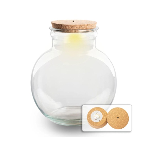 "Terrarium Flasche (mit) Beleuchtung - Teddy - Ø 25 cm ↑ 26,5 cm - Mit LED-Korken image"