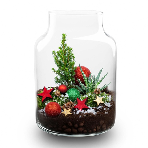 "Frosty Weihnachten Terrarium - Pflanzen Terrarium DIY kit Christmas - - Ø 17 cm ↑ 25 cm image"