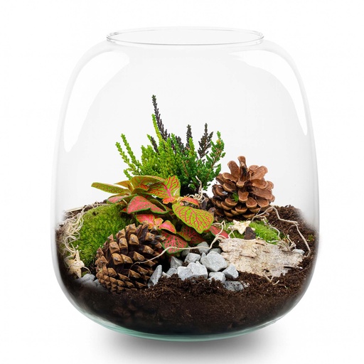 "Lametta Winter Terrarium - Flaschengarten DIY-Set - Ø 19 cm ↑ 20 cm image"