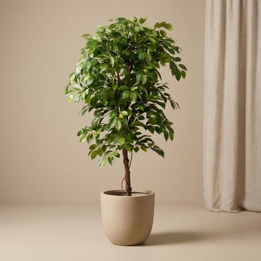 "Ficus Deluxe Ranke Kunstbaum - 140 cm - Kunstpflanze - Künstliche Pflanze image"
