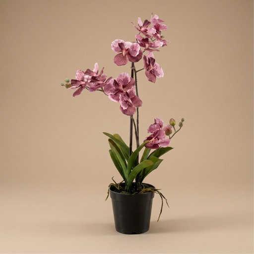 "Orchidee Vanda Kunstpflanze 60 cm - Altrosa - Im Topf - Künstliche Pflanze image"