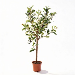 Olivenbaum im Topf 65cm – Kunstpflanze - Kunstpflanze