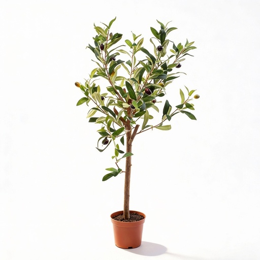 "Olivenbaum im Topf 65cm – Kunstpflanze - Kunstpflanze image"
