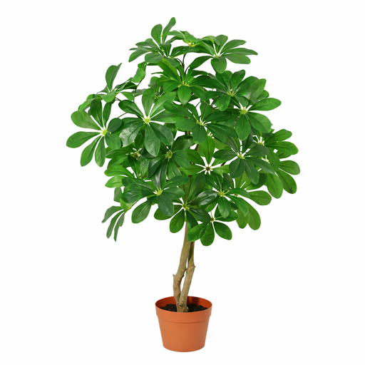 "Künstliche Schefflera Arboricola - 120cm image"