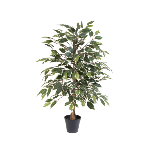 "Künstlicher Ficus benjamina variegata - 85cm image"