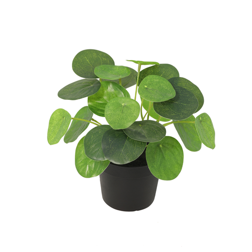"Künstliche Pilea peperomioides - 17,5cm image"
