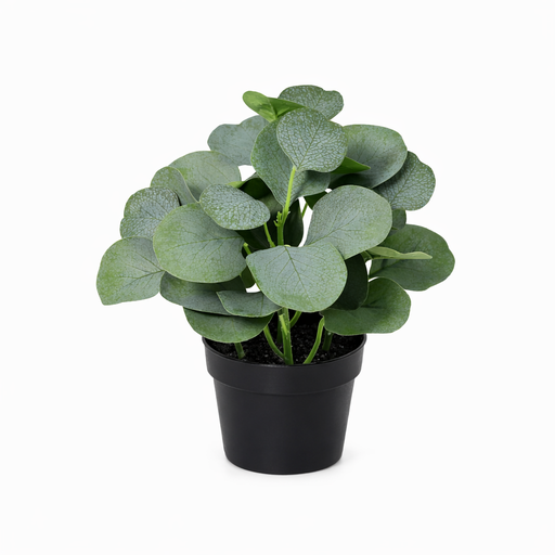 "Künstlicher Eukalyptus - 21cm image"