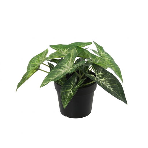 "Künstlicher Syngonium - 15cm image"