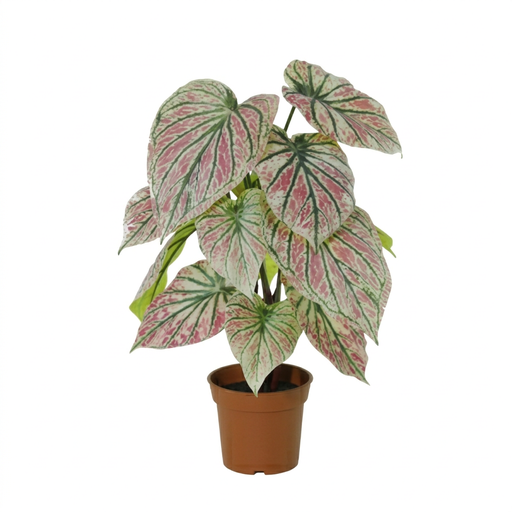 "Künstliches Caladium grün/rosa - 57cm image"