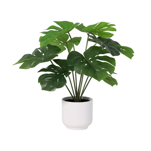 "Künstliche Monstera Deliciosa inklusive weißen Topf - 50cm image"