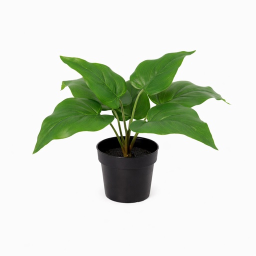 "KÜNSTLICHER Philodendron Imperial Green - 25cm image"