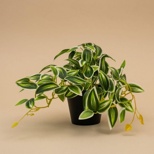 "Tradescantia Grün/Weiß im Topf - 19 cm - Kunstpflanze image"