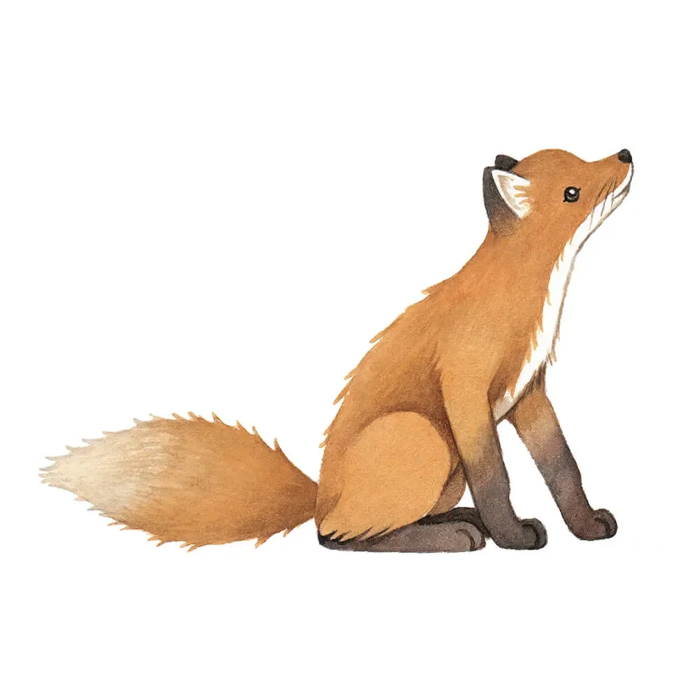 Lilipinso Wandsticker großer Fuchs