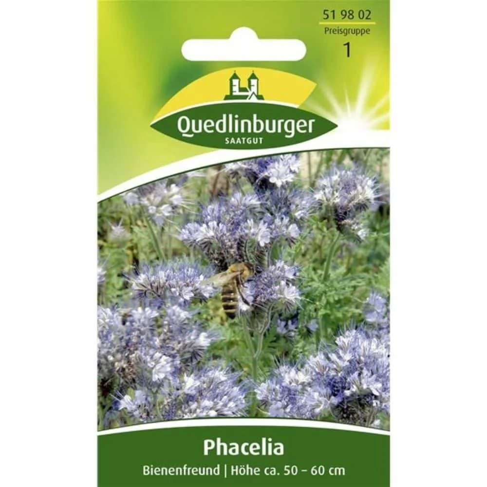 "Phacelia kaufen, Bienenfreund Samen, Bienenweide image"