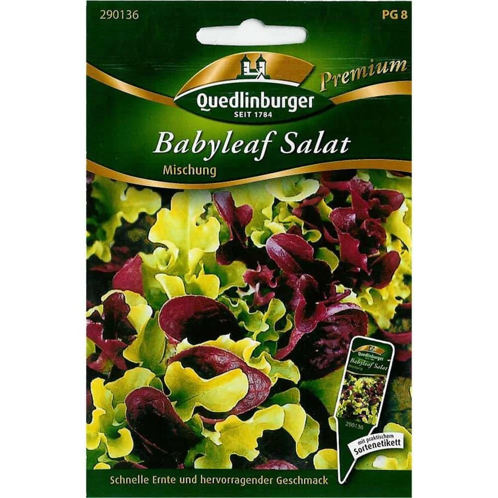Salatsamen Salat Mischung Pflücksalat Schnittsalat