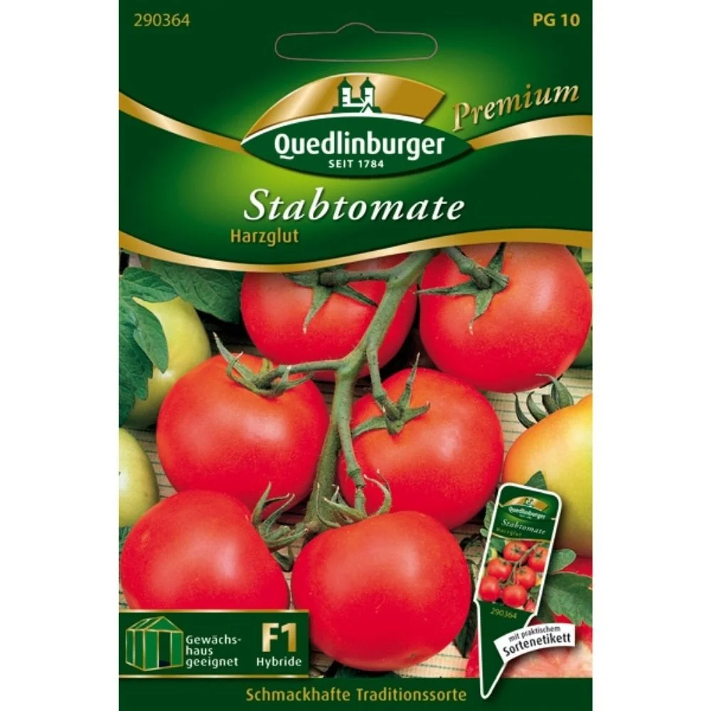 Stabtomate Harzglut F1 als Tomatenpflanze