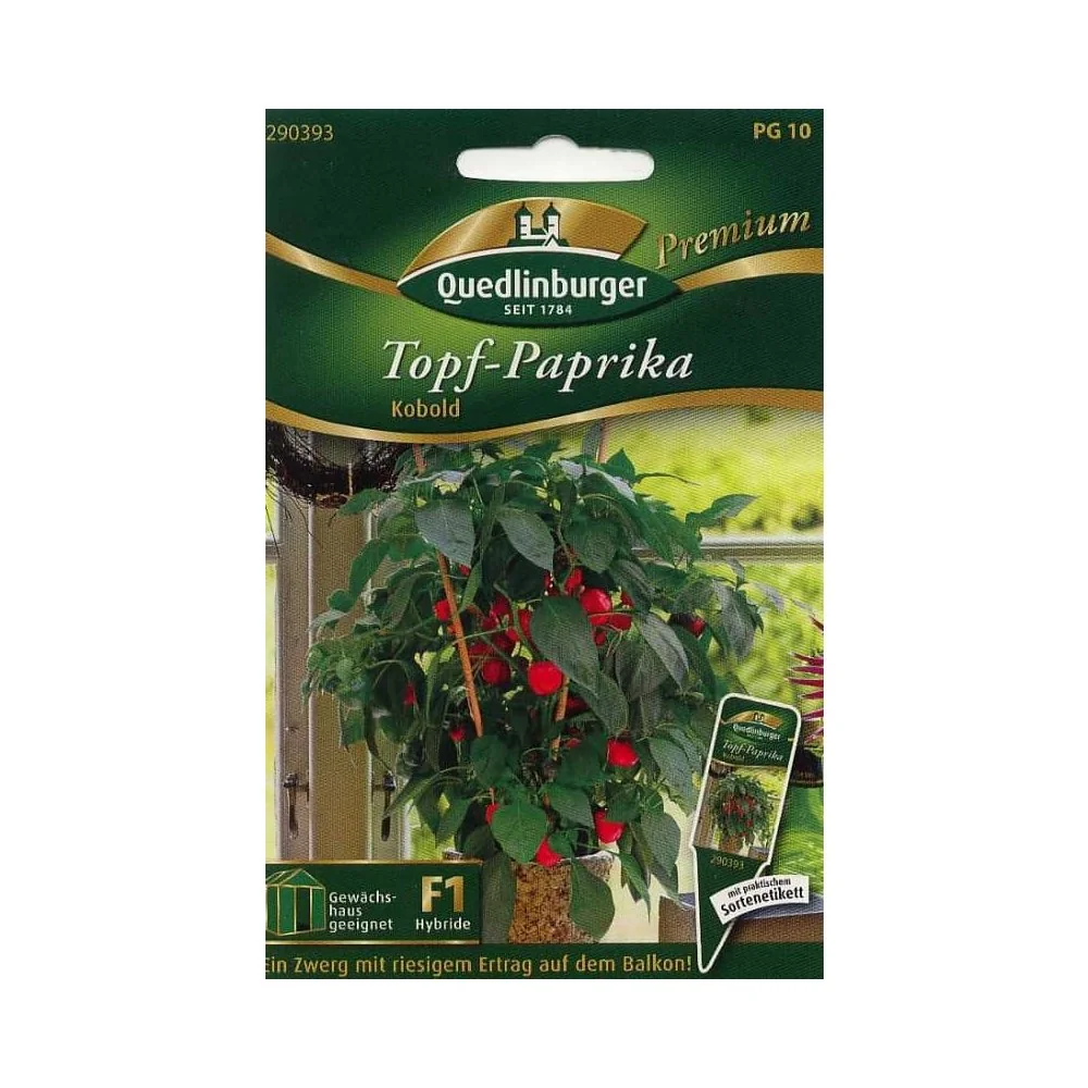 Topfpaprika Kobold F1