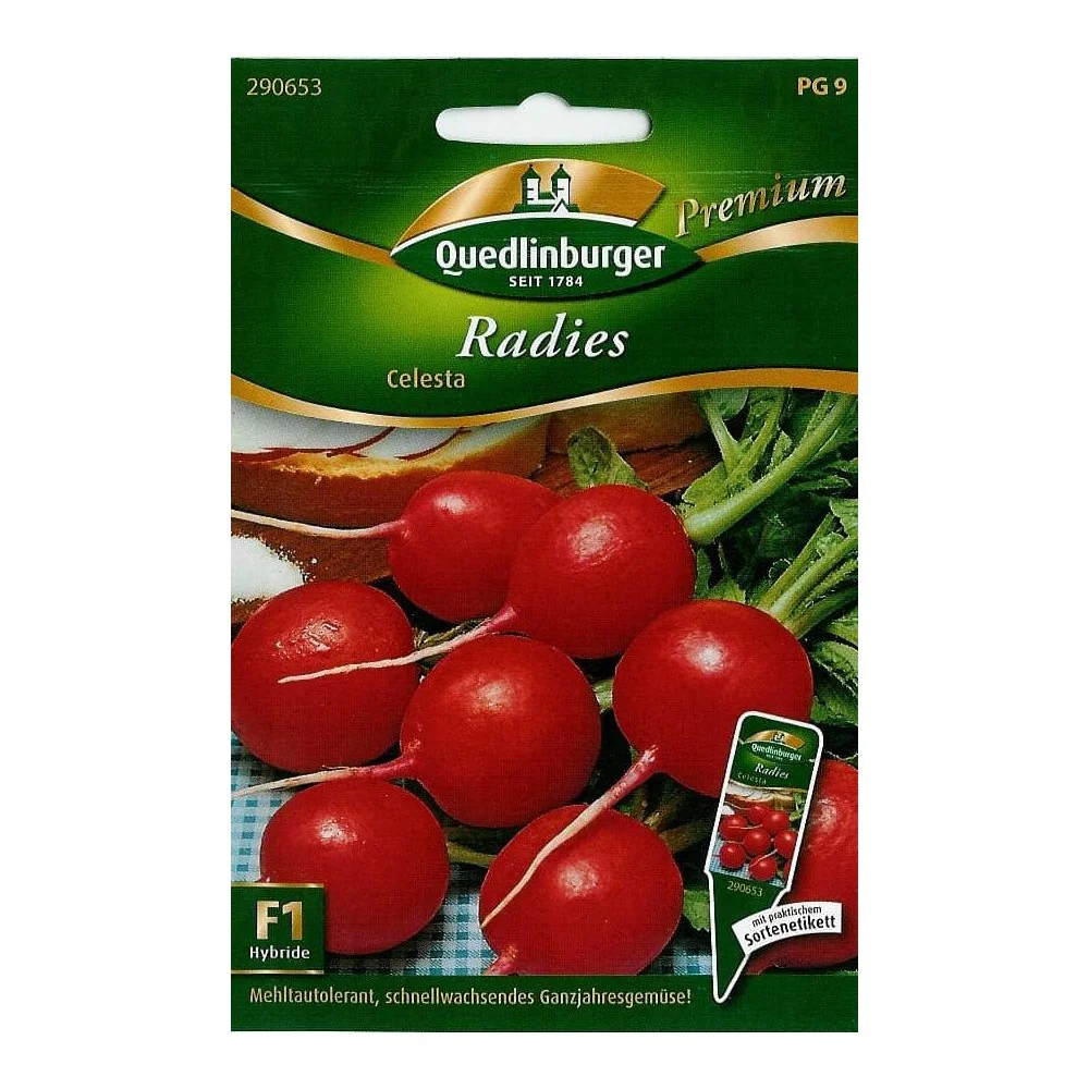 Radieschen Celesta Samen, Radieschen kaufen
