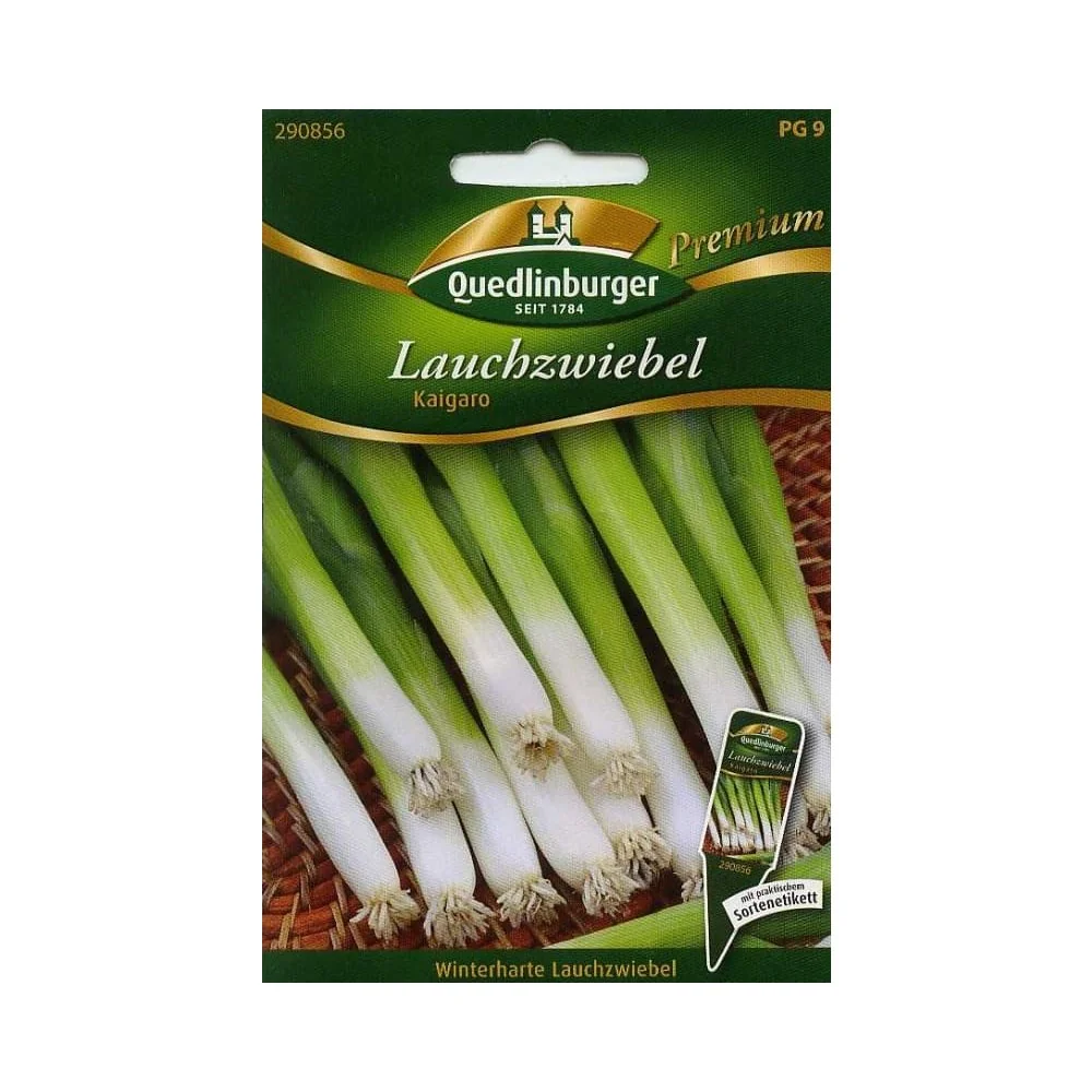 "Lauchzwiebel, Frühlingszwiebel, Winterheckenzwiebel - Zwiebeln pflanzen image"